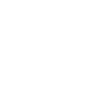 LOES ATTORNEYS